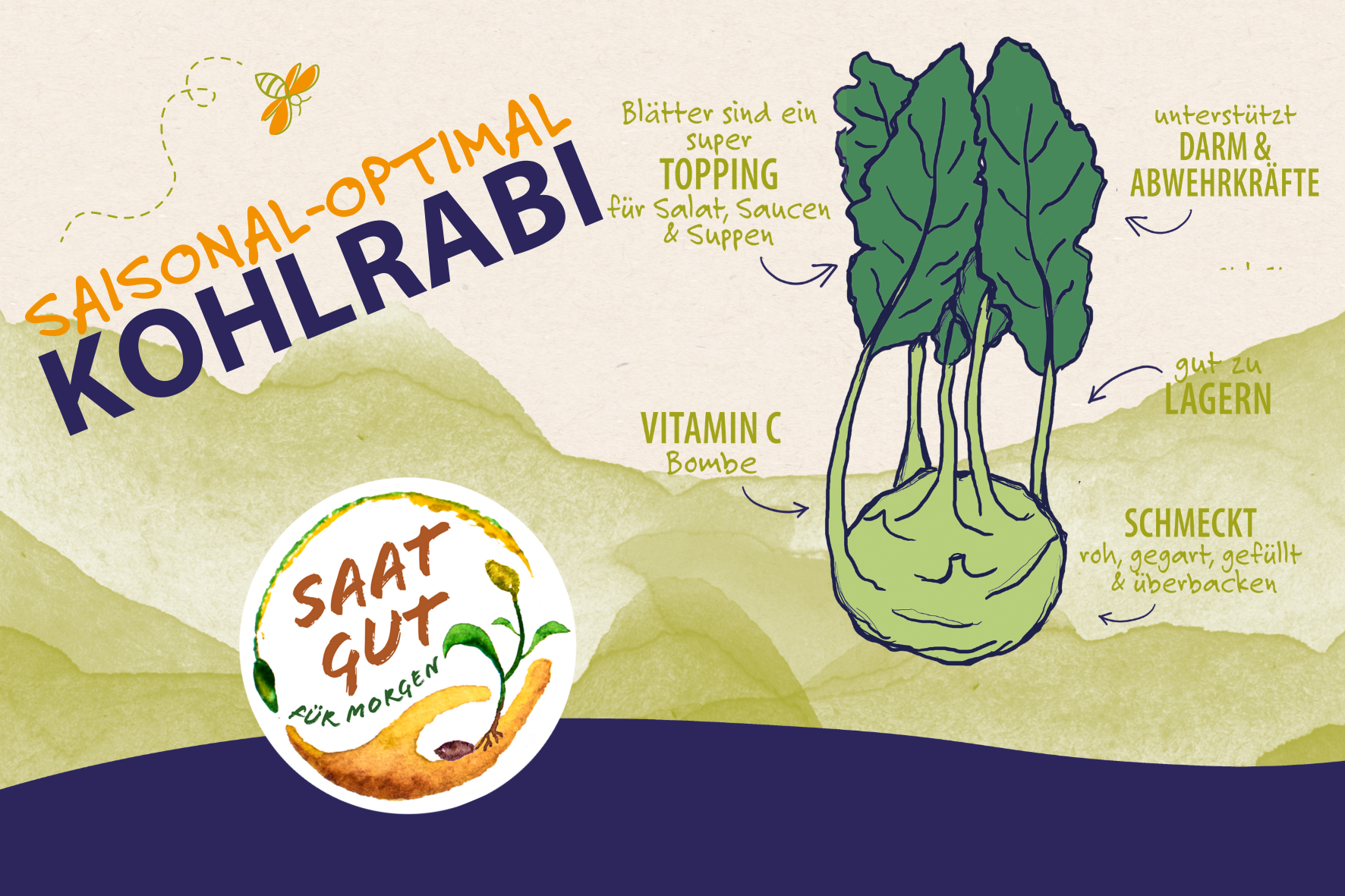 Kohlrabi